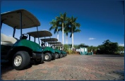 Picture of Fleet Cars